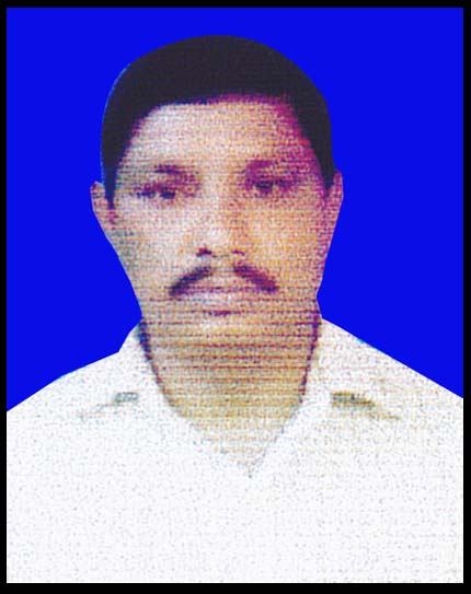 image-here